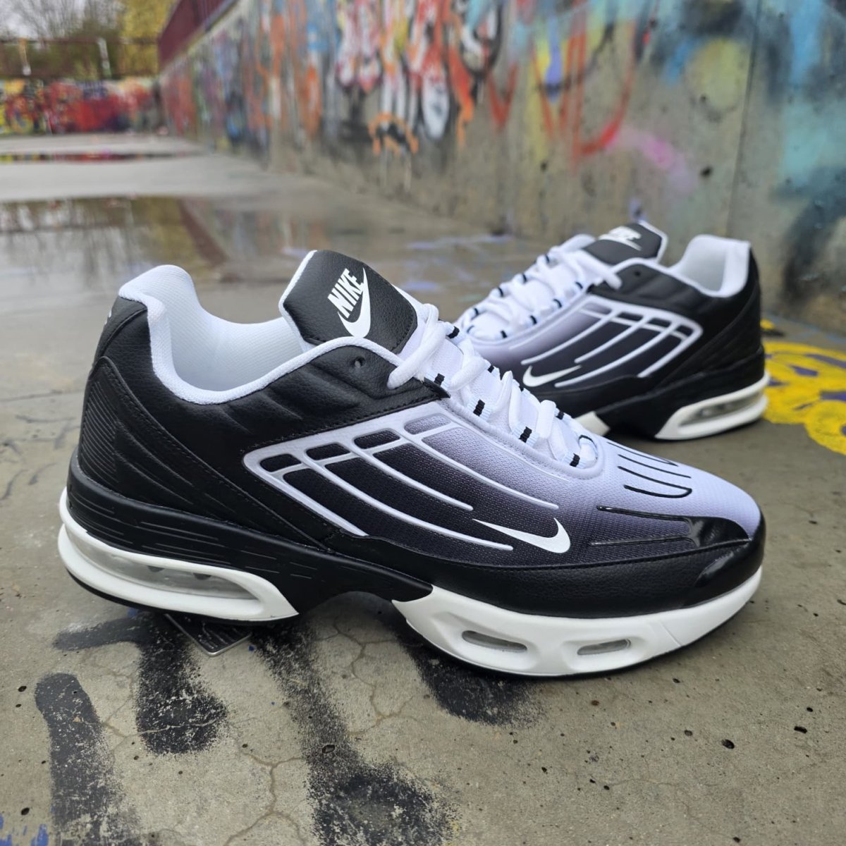 Max alb - ng (model nou) - JustShoes